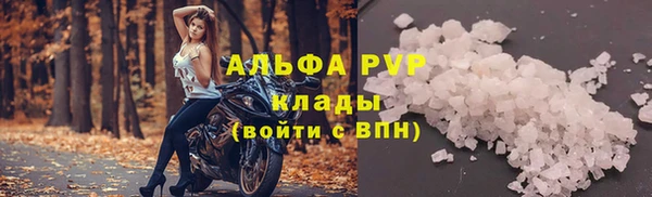 СК Беломорск