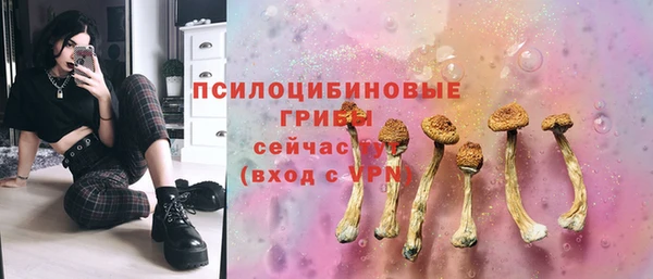 таблы Пролетарск
